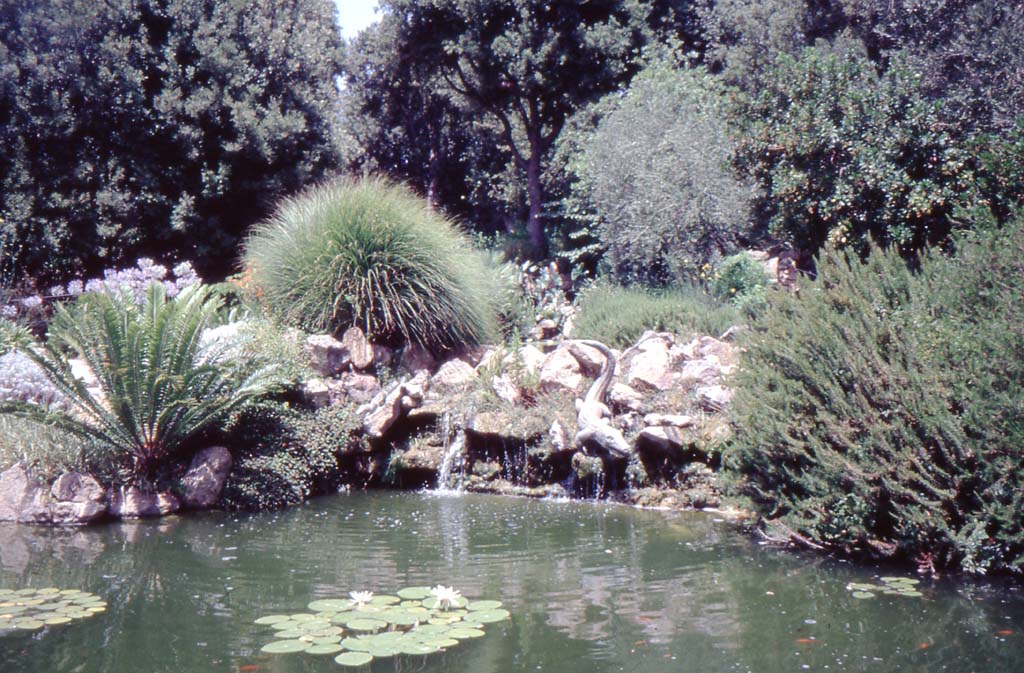 Teich in La Mortella